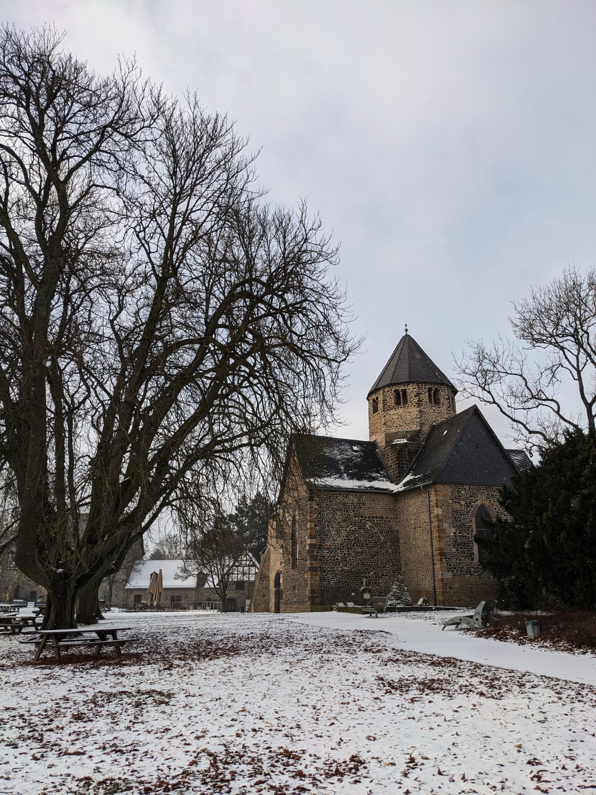 Im Hintergrund ein historisches Gebäude, ein Baum ohne Laub. Es liegt Schnee.